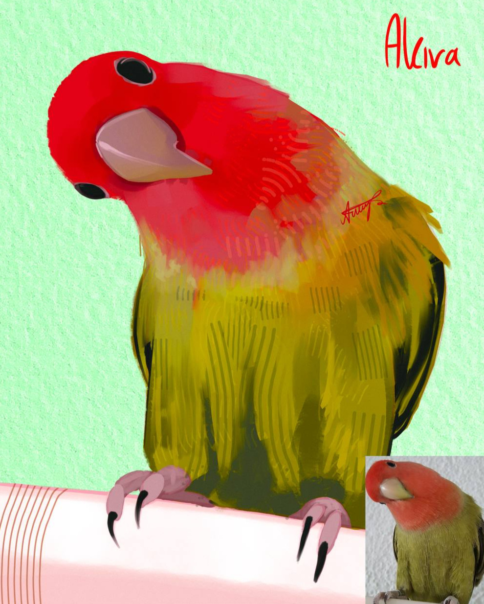 lil birb stylized sketch