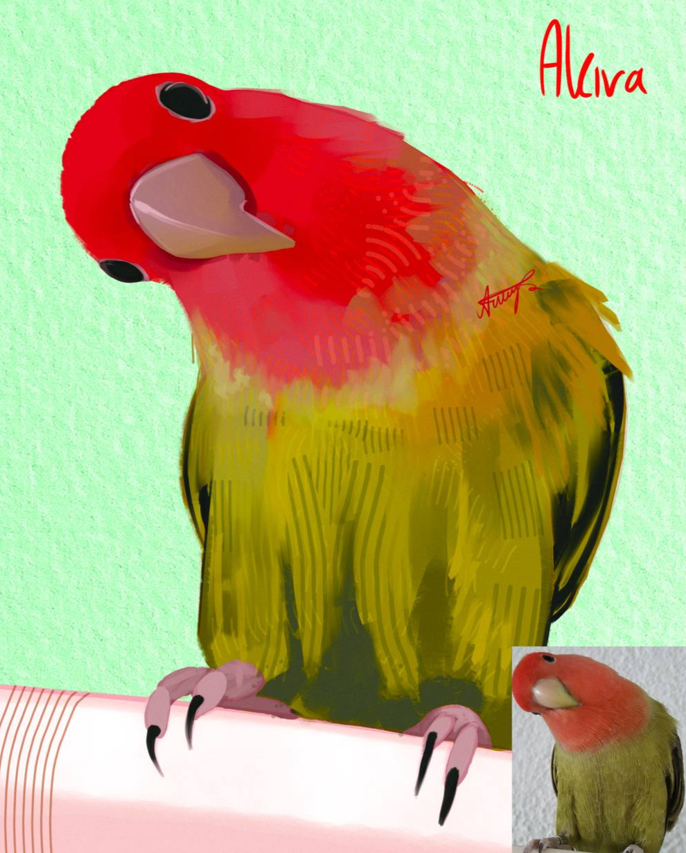 lil birb stylized sketch